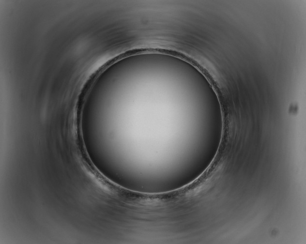 X0000101480982200807141411