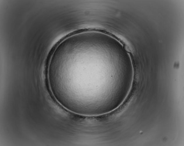 X0000101480983200807141411