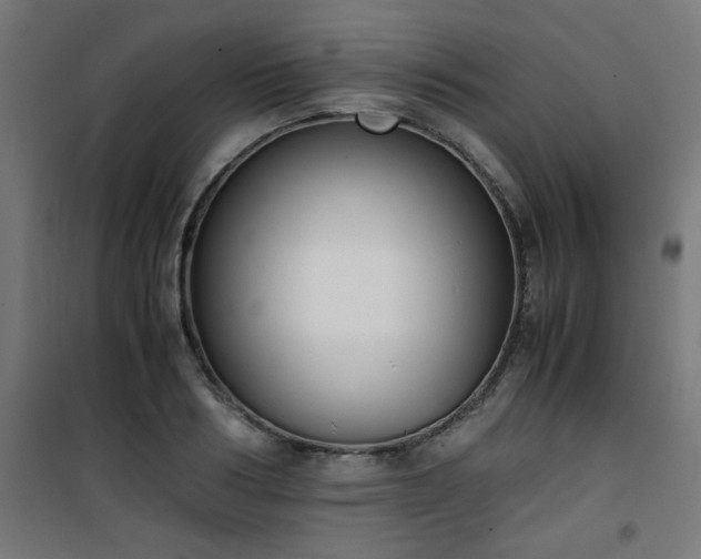 X0000101480986200807141411