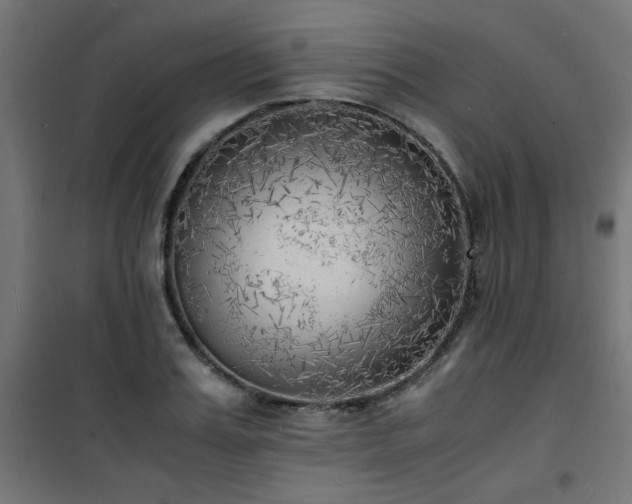 X0000101480987200807141411