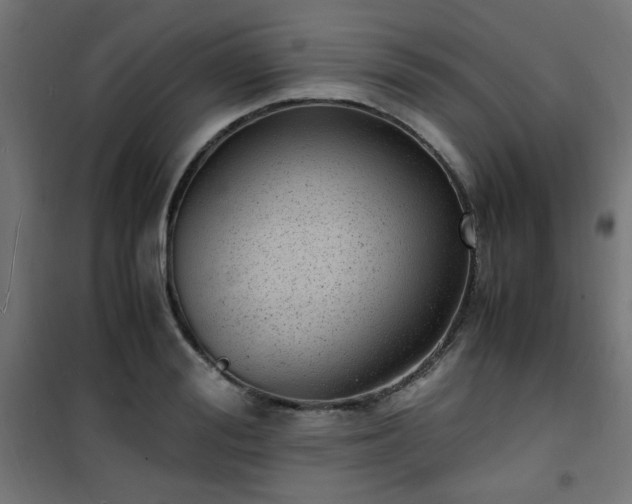 X0000101480988200807141411