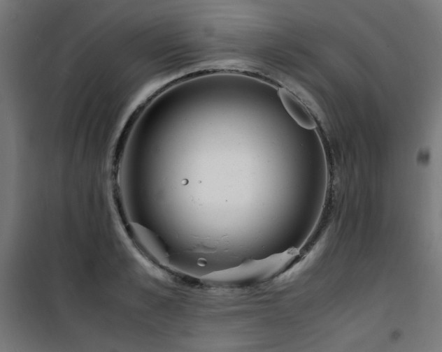 X0000101480989200807141411