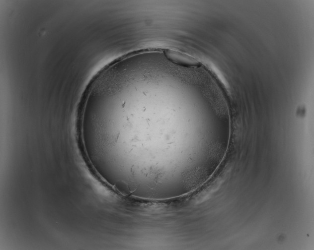 X0000101480991200807141411