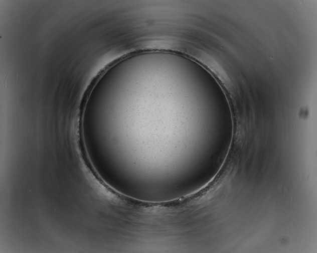 X0000101480992200807141410