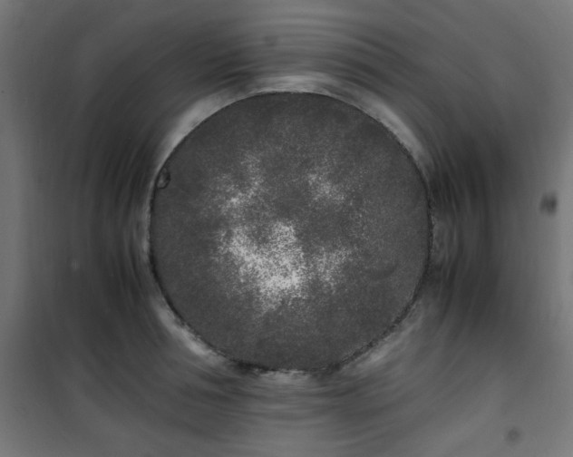 X0000101480994200807141410