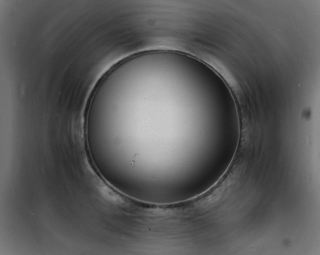 X0000101480996200807141410