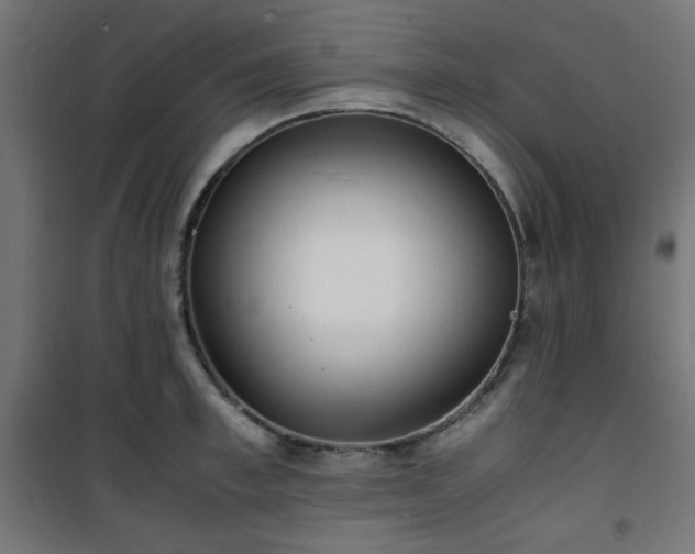 X0000101480997200807141410