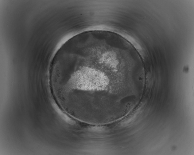 X0000101480998200807141410