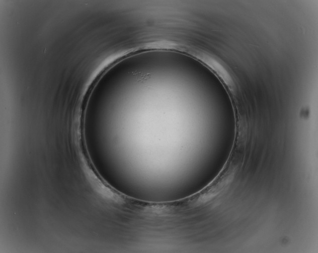 X0000101481000200807141410