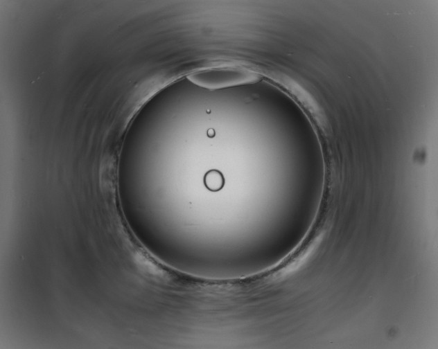 X0000101481001200807141410