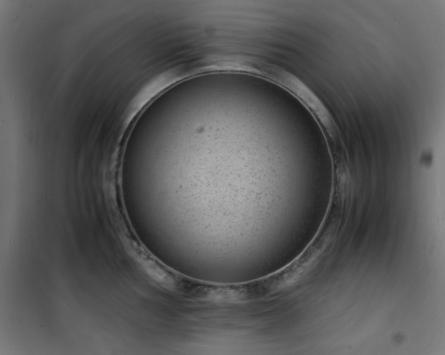 X0000101481002200807141410