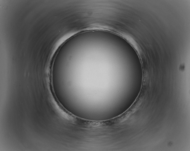 X0000101481003200807141410