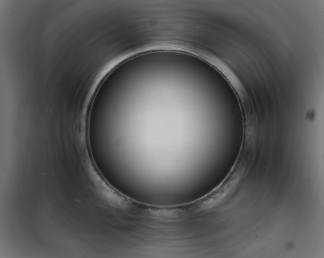 X0000101481004200807141410
