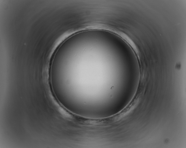 X0000101481005200807141410