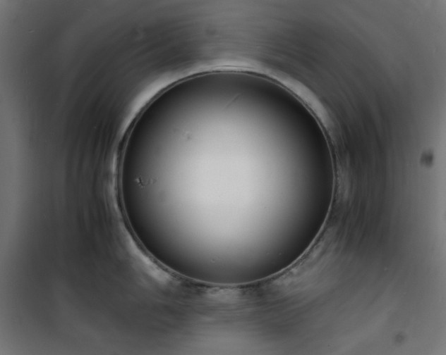X0000101481006200807141410