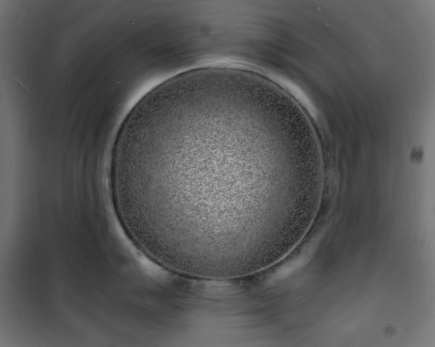 X0000101481007200807141410