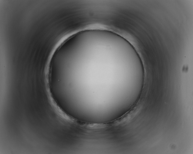 X0000101481008200807141410