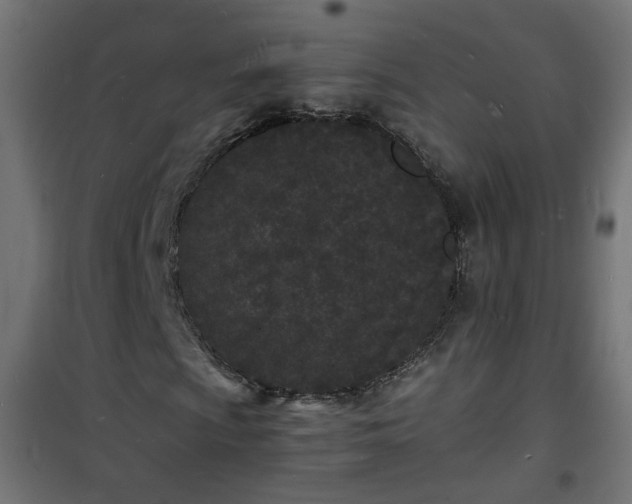 X0000101481009200807141410