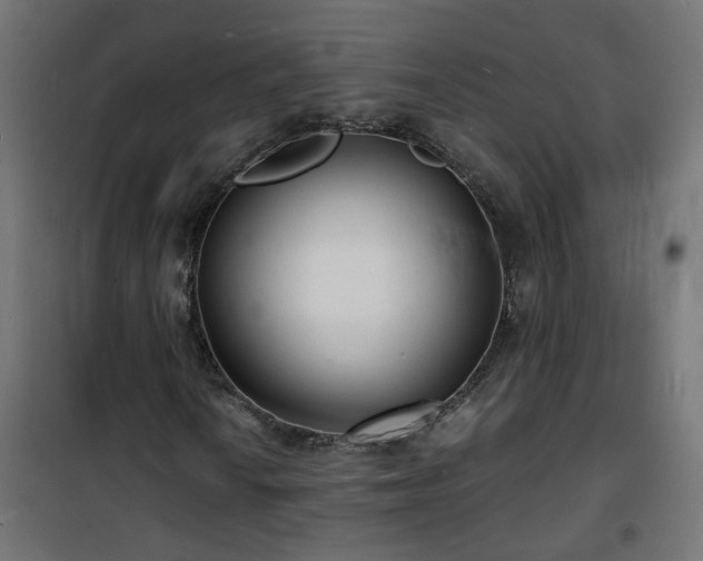X0000101481010200807141410