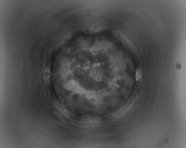 X0000101481011200807141410