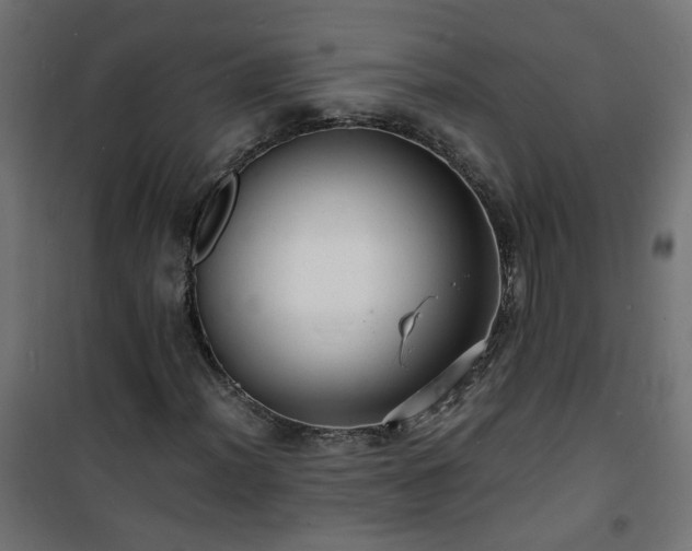 X0000101481012200807141410
