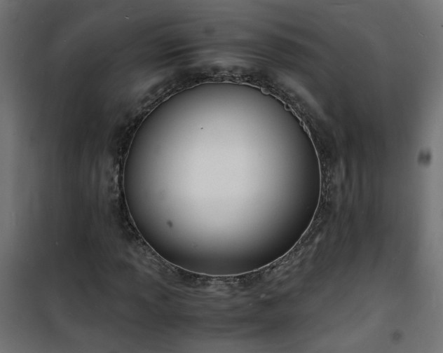 X0000101481013200807141410