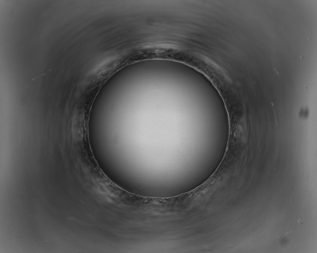 X0000101481014200807141410