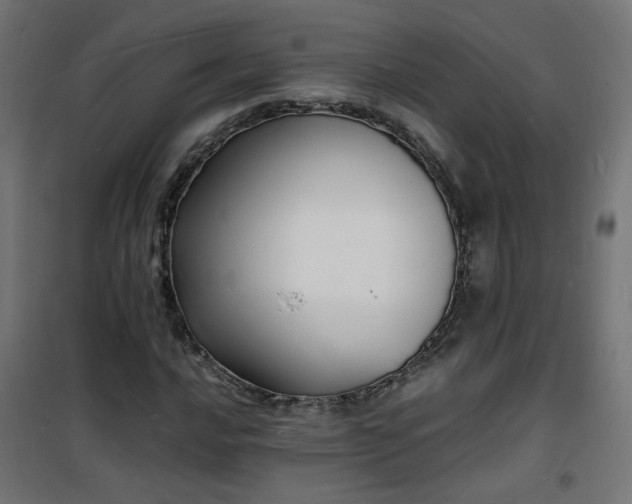 X0000101481016200807141410