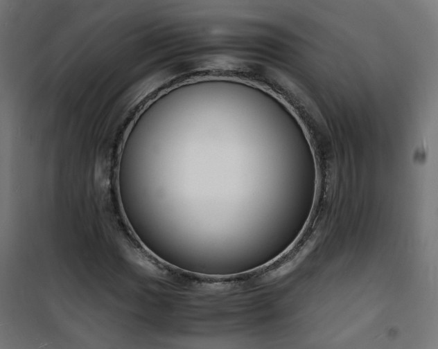X0000101481017200807141410