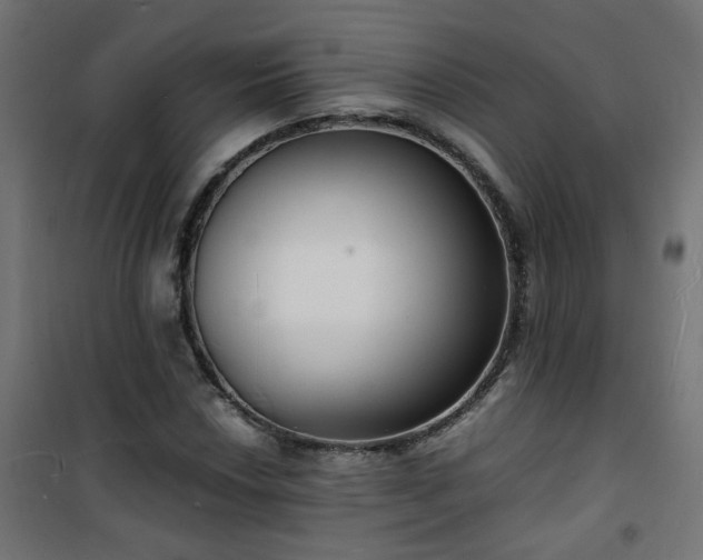 X0000101481018200807141410