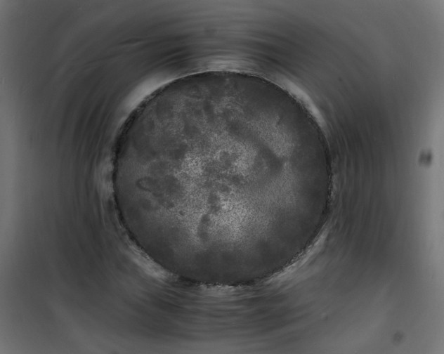 X0000101481019200807141410