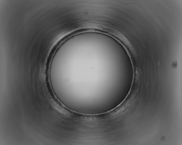 X0000101481020200807141410