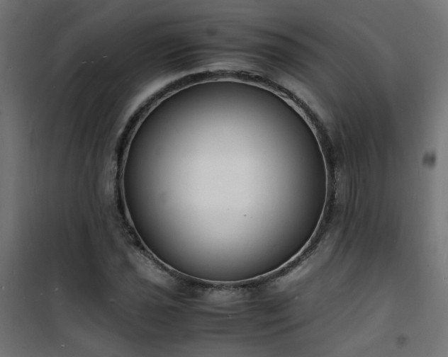 X0000101481021200807141410