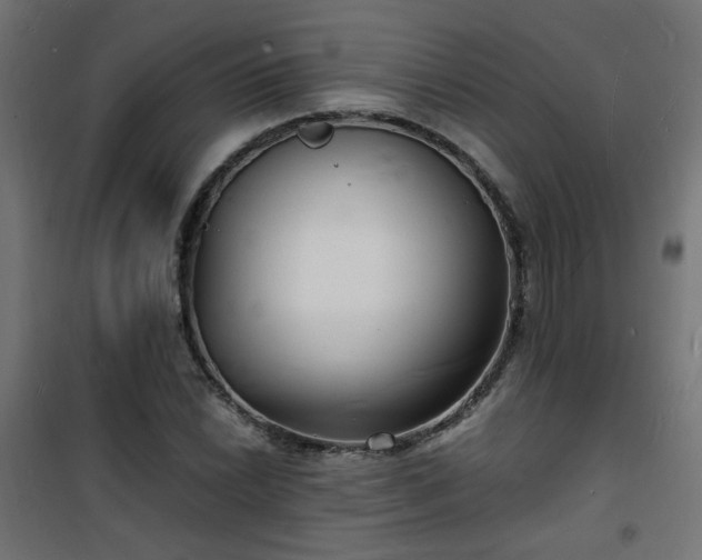 X0000101481022200807141410