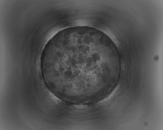 X0000101481023200807141410