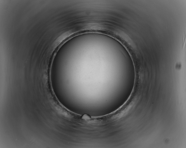 X0000101481025200807141410