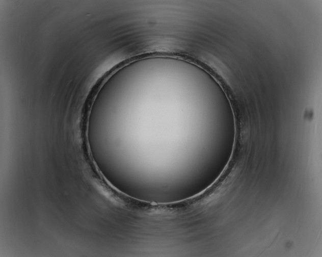 X0000101481026200807141410