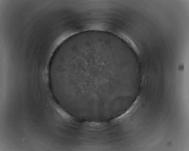X0000101481027200807141410
