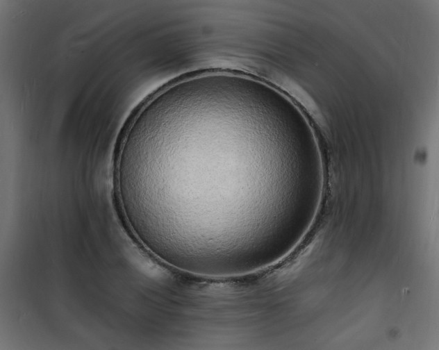 X0000101481028200807141410