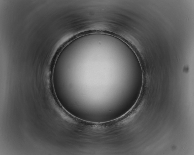 X0000101481029200807141410