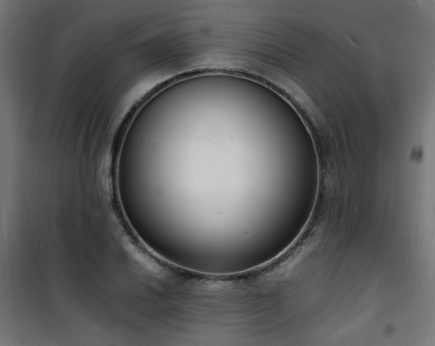X0000101481030200807141410
