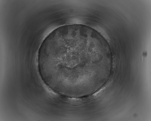 X0000101481031200807141410