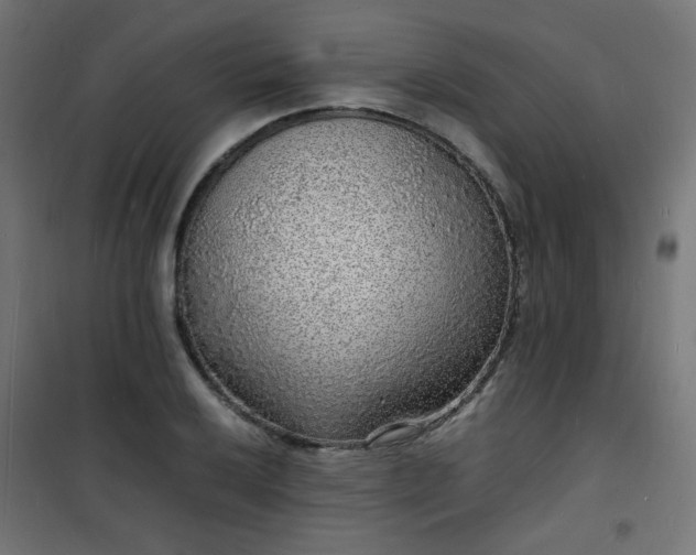 X0000101481032200807141410