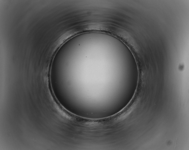 X0000101481033200807141410