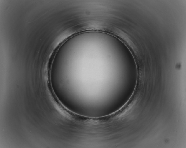 X0000101481034200807141410