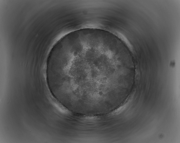 X0000101481035200807141410