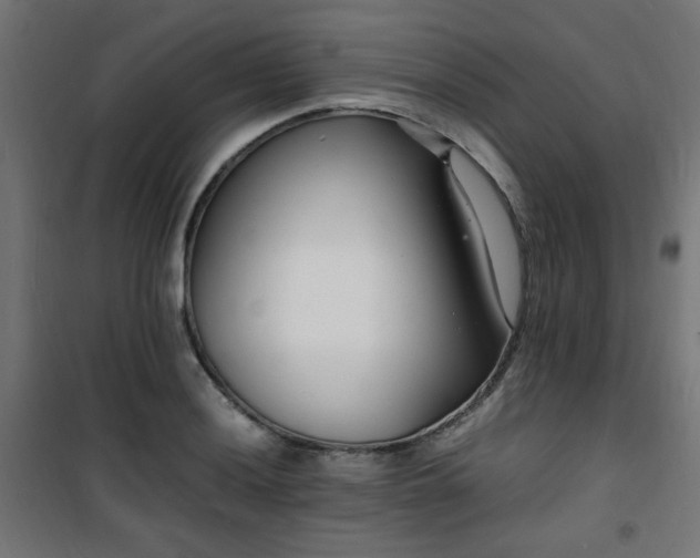 X0000101481036200807141410