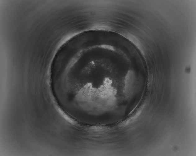 X0000101481037200807141410