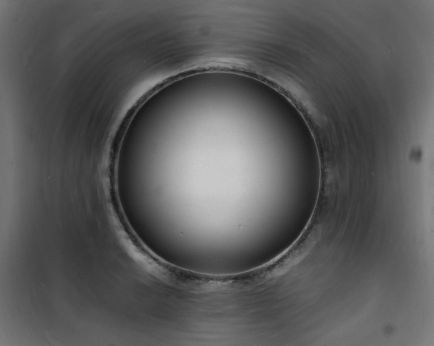 X0000101481038200807141410