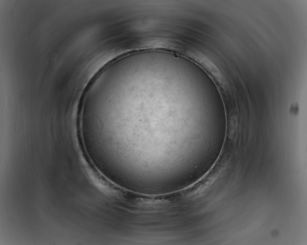 X0000101481039200807141410